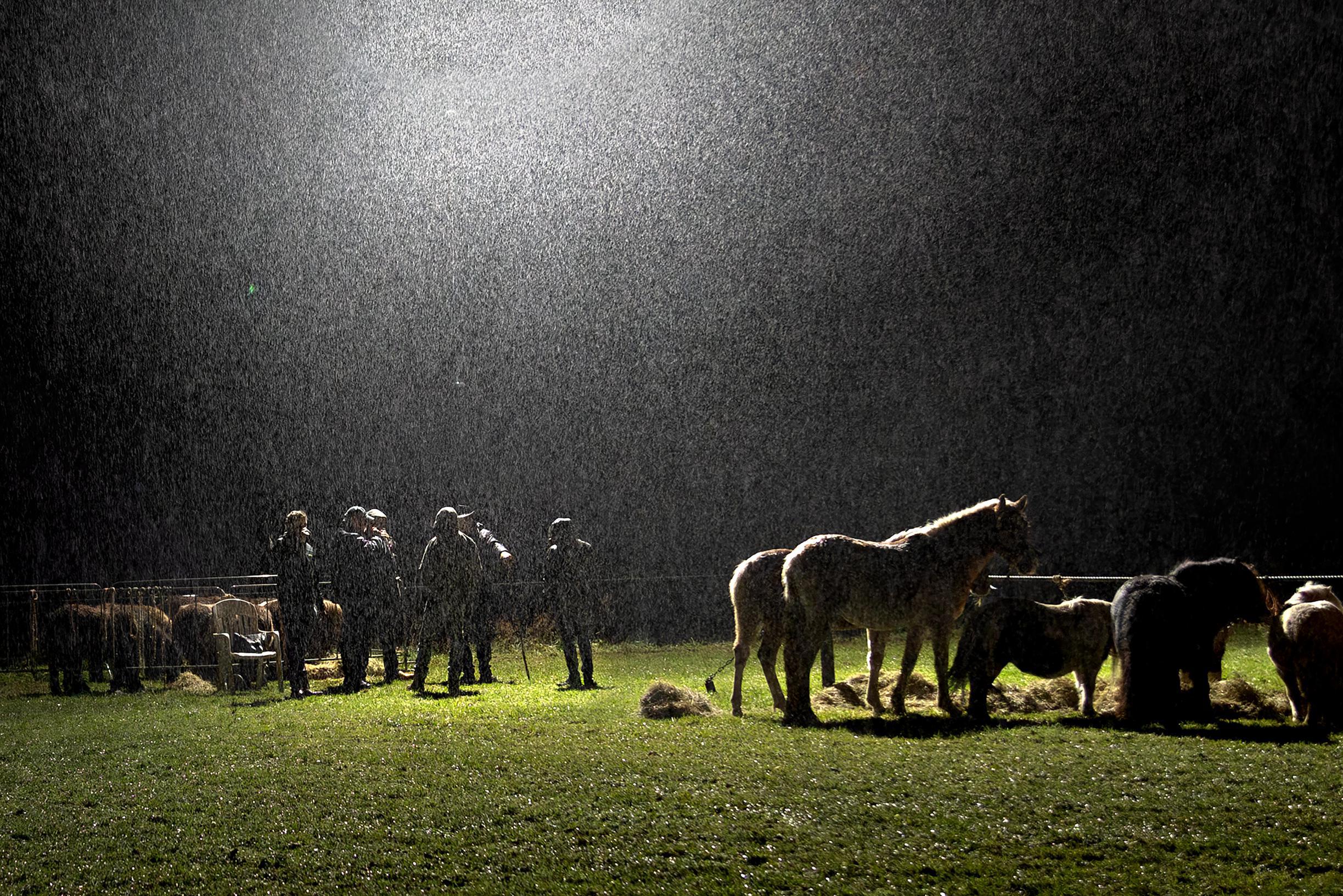 Lottum blijft de paardenmarkt ook op de elfde van de elfde trouw, de dag dat het vastelaovendseizoen